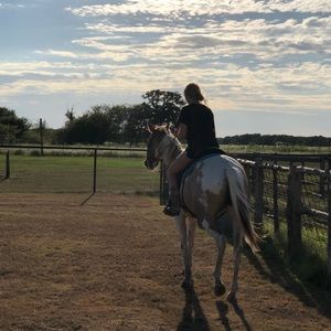 Meet your Posher, Toni